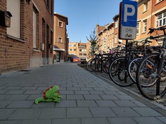 Dino Beer kom eens terug...